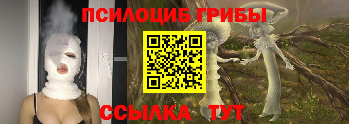 Магнитогорск  Галлюциногенные грибы ЛСД  Вход с VPN  Галлюциногенные грибы Psilocybe 